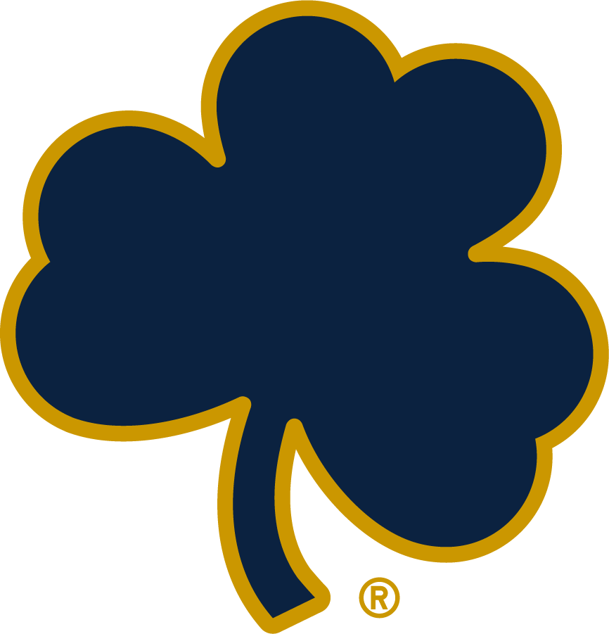 Notre Dame Fighting Irish 2015-Pres Secondary Logo v4 diy iron on heat transfer...